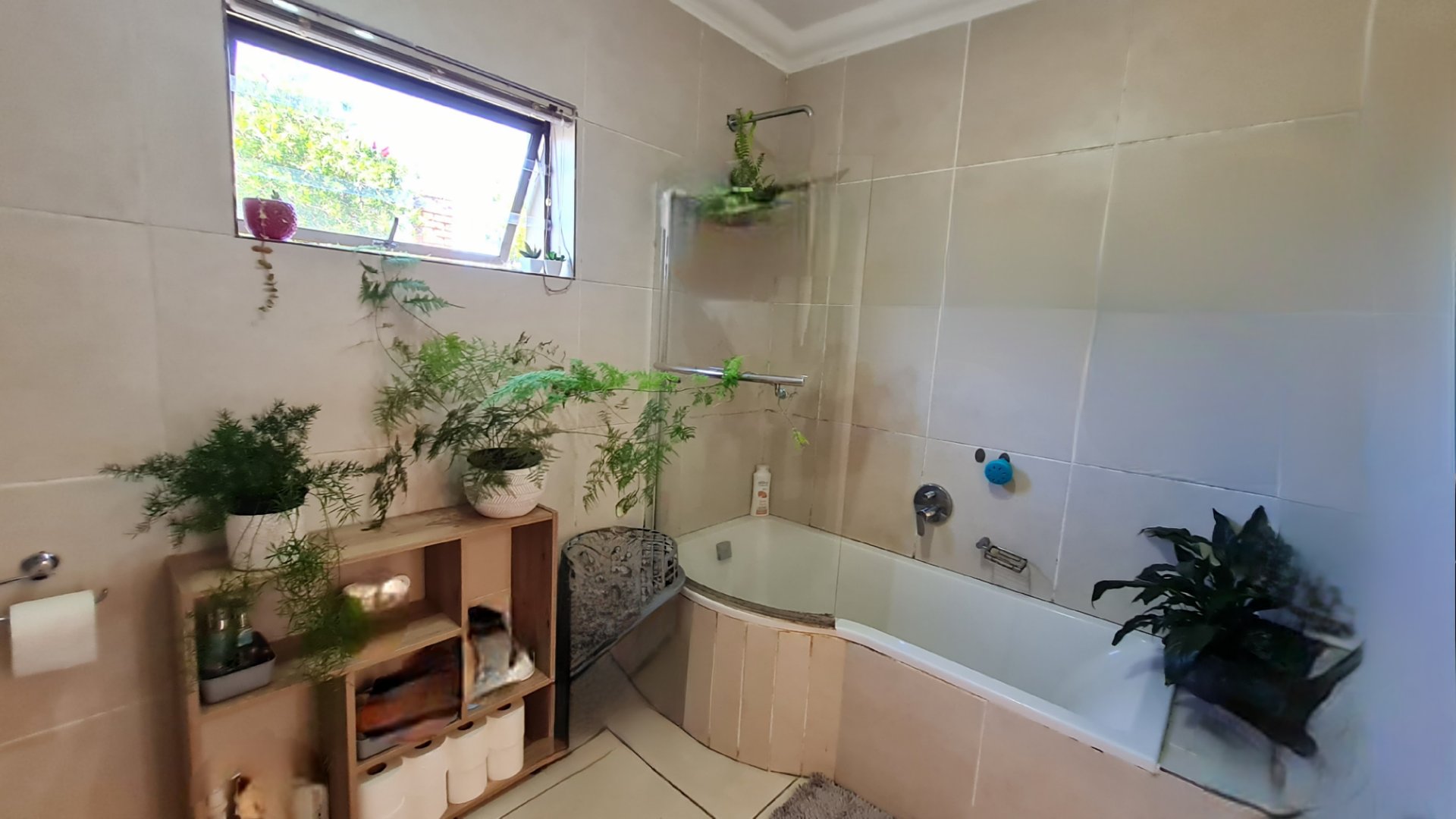 4 Bedroom Property for Sale in Island View Western Cape